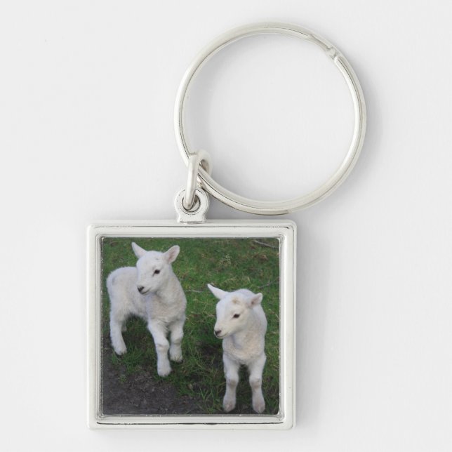 Porte-clés Cute Farm Ranch Baby Twins Sheep Lamb (Devant)