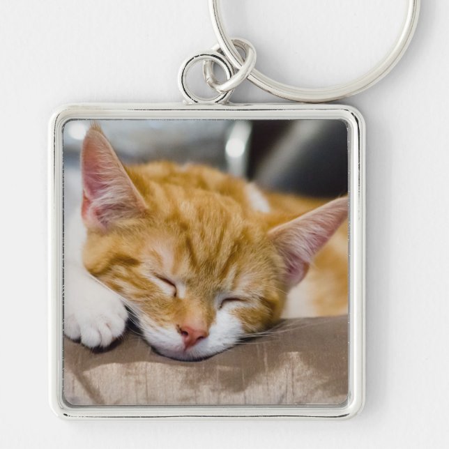 Porte-clés Cute Kitten (Devant)