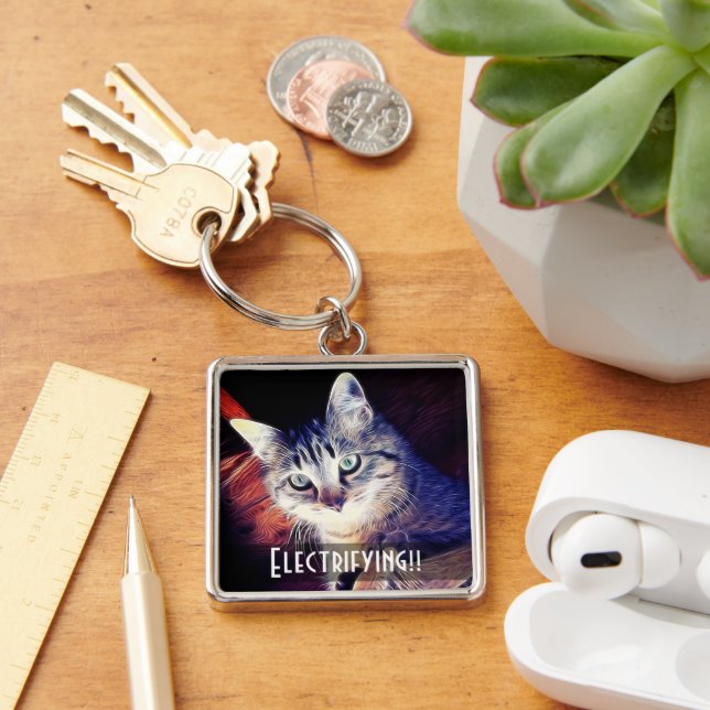 Porte-clés Cute Kitty Dans Les Rafters Gros Plan Photo (Bureau)