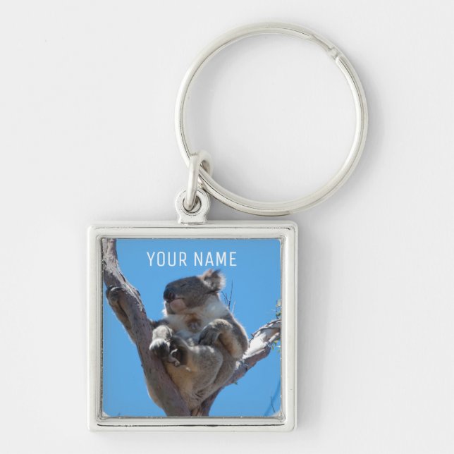 Porte-clés Cute Koala dormant dans un arbre Australie (Devant)