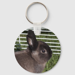 Porte-clés Cute lapin noir sur herbes vertes