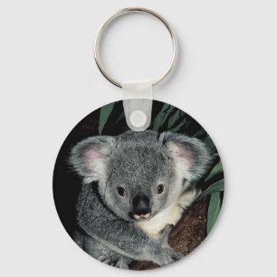 Porte-clés Cute Ours Koala