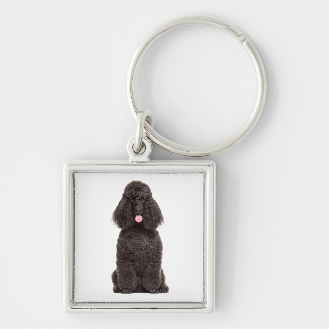 Porte-clés Cute Puppy Dog Lover Black Poodle (Devant)
