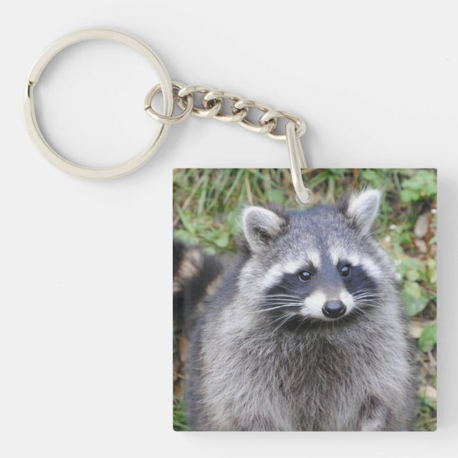Porte-clés Cute Raccoon (Devant)
