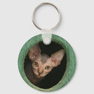Porte-clés Cute sphynx chaton