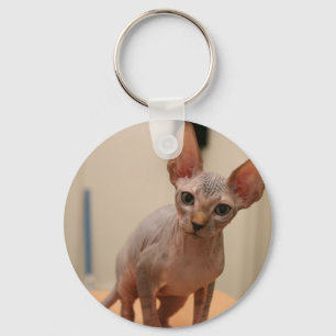 Porte-clés Cute sphynx kitten "Je suis sans colère, n'est-ce 