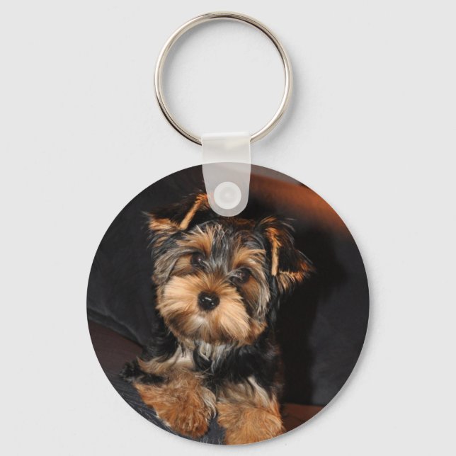 Porte-clés Cute Yorkie Yorkshire Terrier Porte - clé chien (Recto)