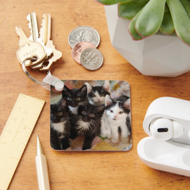 Porte-clés Cutest Baby Animals | Black & White Kittens (Bureau)