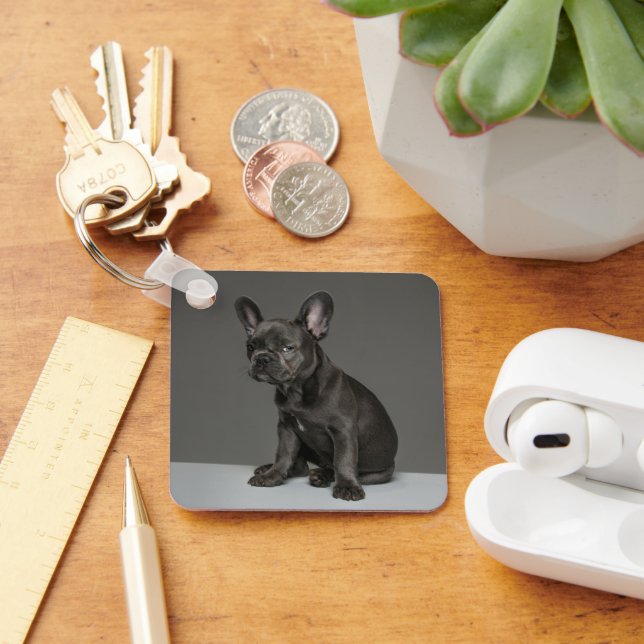 Porte-clés Cutest Baby Animals | Blue French Bulldog Puppy (Bureau)
