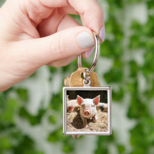 Porte-clés Cutest Baby Animals Cute Baby Piglet