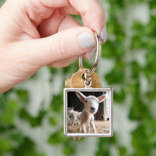 Porte-clés Cutest Baby Animals Cute Lamb in a Farm