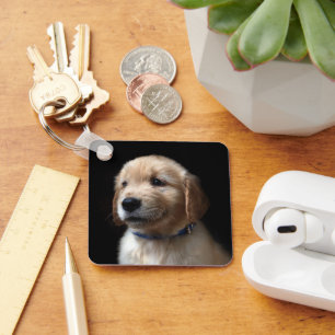 Porte-clés Cutest Baby Animals   Golden Retriever Puppy