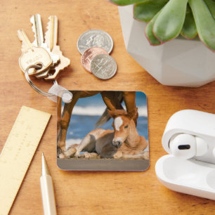 Porte-clés Cutest Baby Animals Newborn Corolla Wild Horse