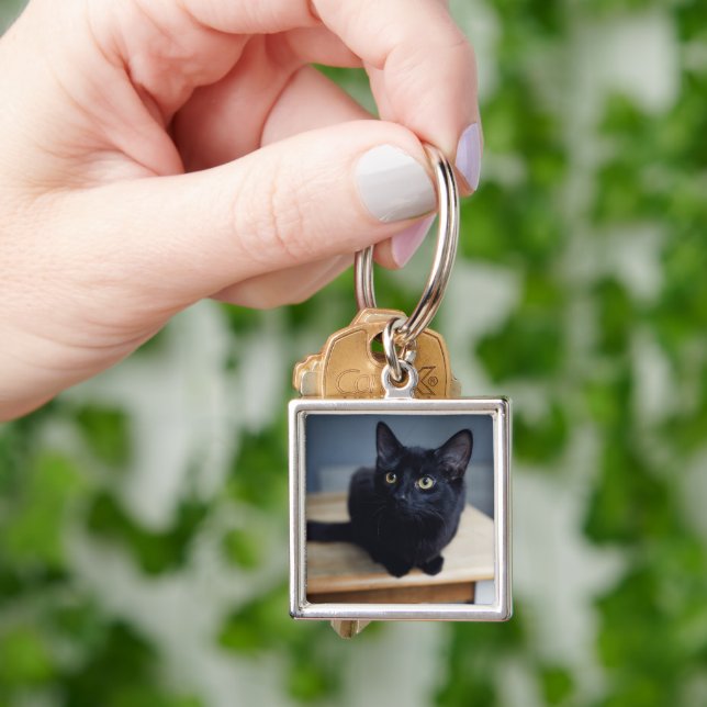 Porte-clés Cutest Baby Animals | Portrait of a Black Cat (main)