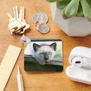 Porte-clés Cutest Baby Animals Siamese Kitten 2