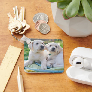 Porte-clés Cutest Baby Animals   Yellow Labrador Retrievers