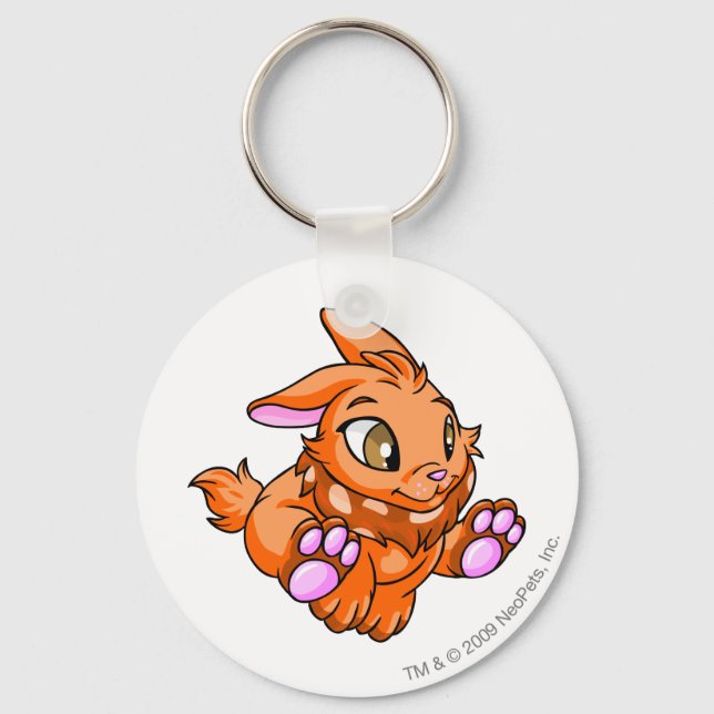 Porte-clés Cybunny Orange (Recto)