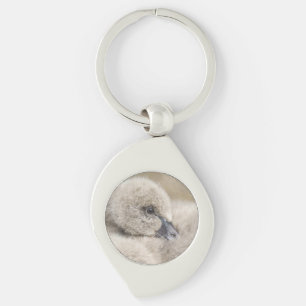 Porte-clés Cygnet de cygne noir