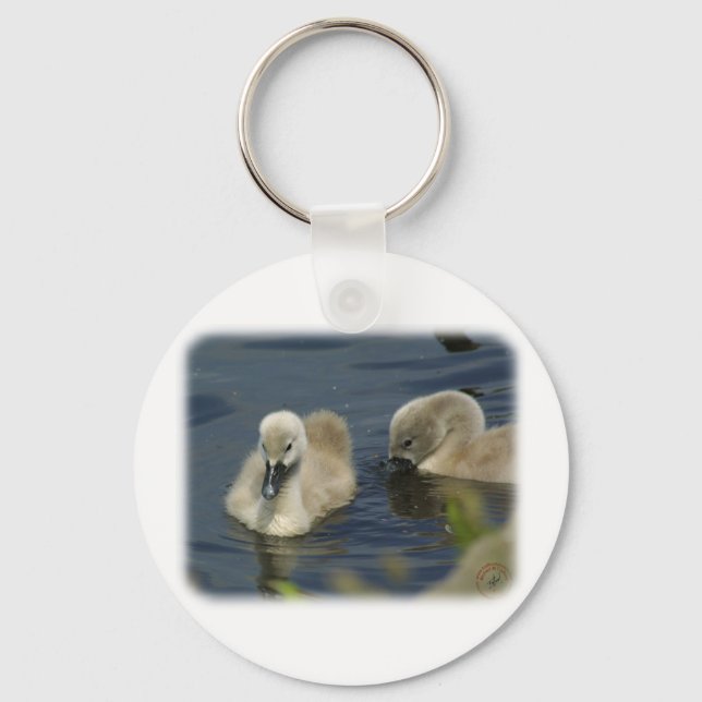 Porte-clés Cygnets de cygne muet 9R054D-114 (Recto)