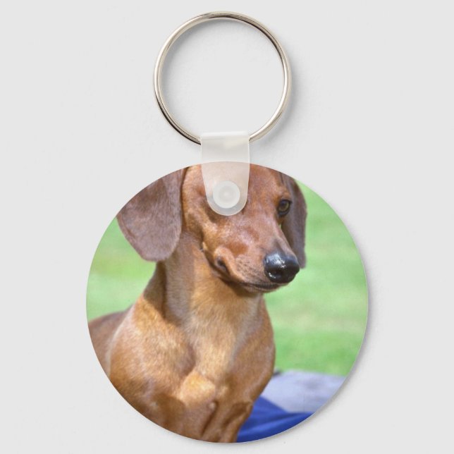Porte-clés Dachshund lisse miniature (Recto)