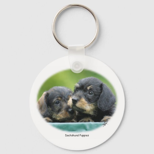 Porte-clés Dachshund Puppies 9W027D-093 (Recto)