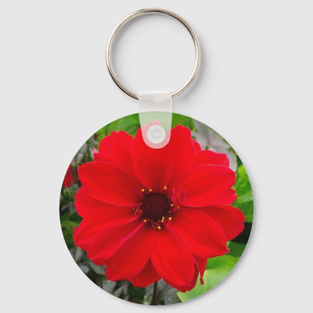 Porte-clés Dahlia - Evêque de Llandaff (Recto)