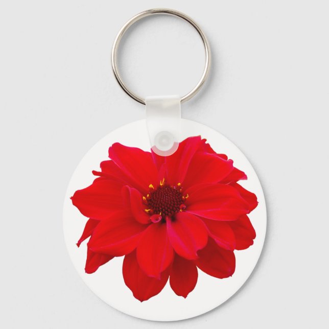 Porte-clés Dahlia - Evêque de Llandaff (Recto)