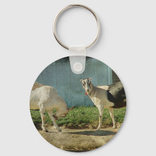 Porte-clés Dairy Goats