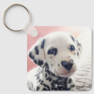 Porte-clés Dalmatien Nez de Coeur