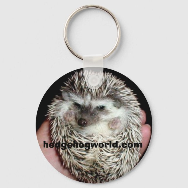 Porte-clés dark hedgehog keychain (Recto)