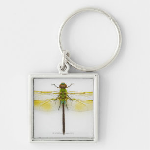 Porte-clés Darner vert (junius d'Anax) sur l'arrière - plan