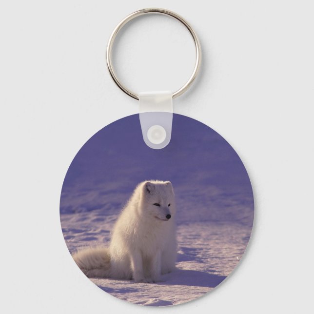 Porte-clés d'art d'ours polaire en hiver (Recto)