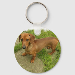 Porte-clés Daschund Keychain