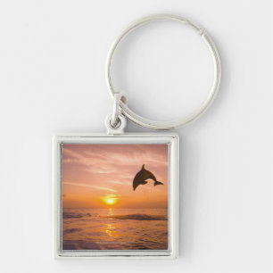 Porte-clés Dauphin de Bottlenose sautant 2