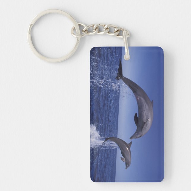 Porte-clés dauphins à gros nez des Caraïbes (Devant)