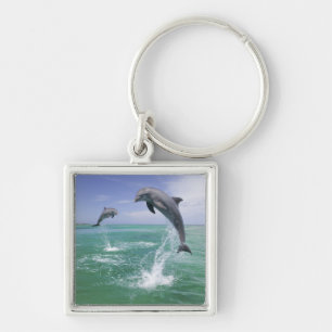 Porte-clés Dauphins de verdure Tursiops truncatus