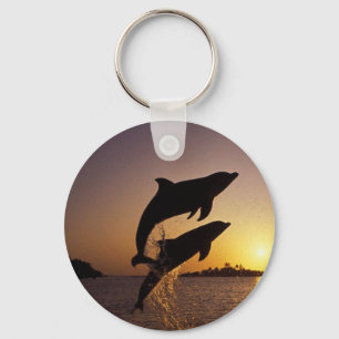 Porte-clés Dauphins eau poissons saut éclaboussure île tropic