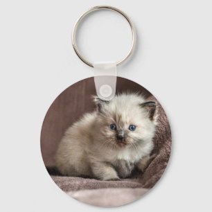 Porte-clés de chaton