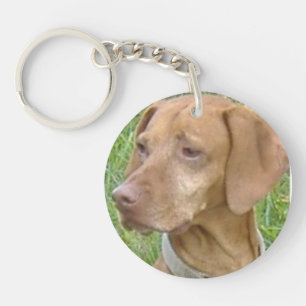 Porte-clés de chien de Vizsla