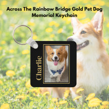 De L'Autre Côté Du Rainbow Bridge Gold Pet Dog Mem