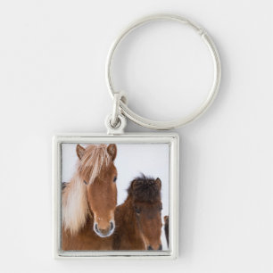 Porte-clés De mignons chevaux islandais ensemble