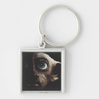 Deathly Hallows - Dobby