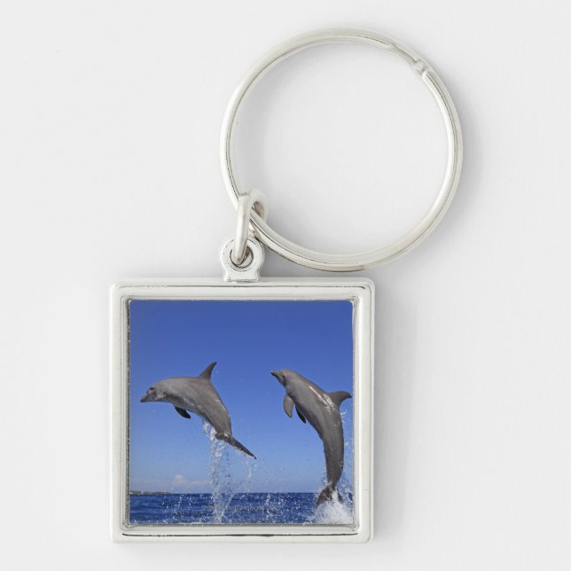 Porte-clés Delfin, Delphin, Tuemmler plus brut, Tursiops 3 (Devant)