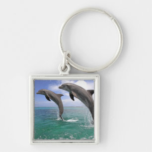 Porte-clés Delfin, Delphin, Tuemmler plus brut, Tursiops 4