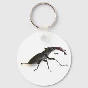Porte-clés Dendroctone du pin