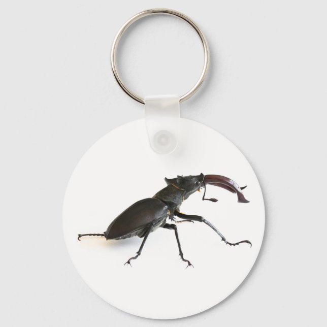 Porte-clés Dendroctone du pin (Recto)