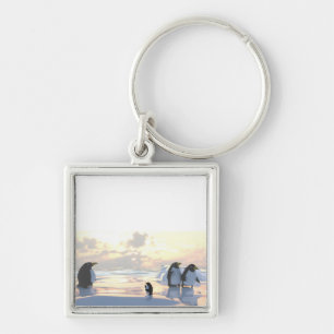 Porte-clés des pingouins qui refroidissent sur une banquise