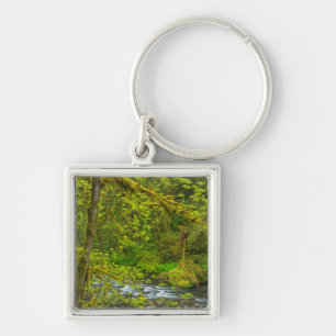 Porte-clés Des rochers et des arbres moussu bordent Eagle Cre