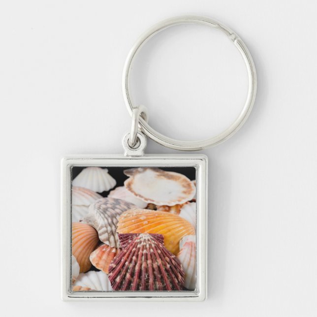 Porte-clés Détail de coquillages du monde entier 2 (Devant)