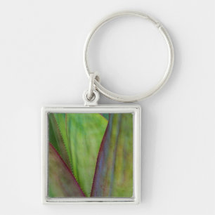 Porte-clés Détail de la plante d'Agave